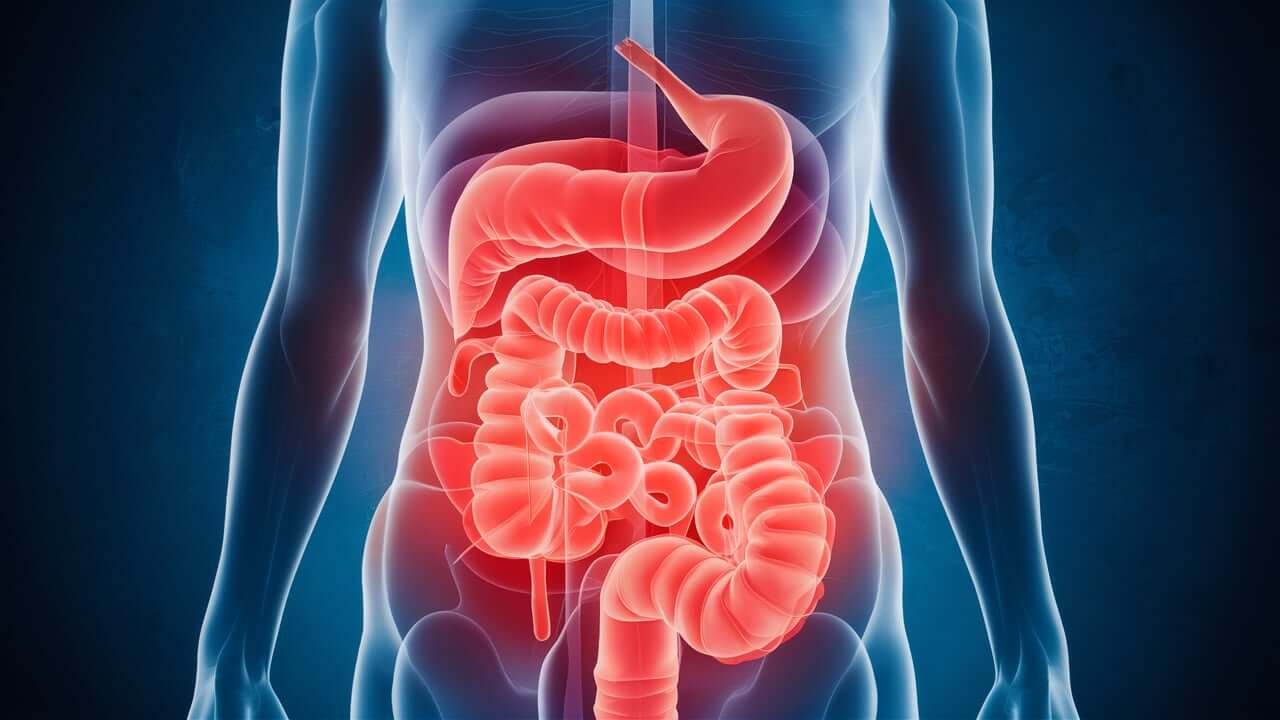 wellhealthorganic.com: key signs of gastroenteritis